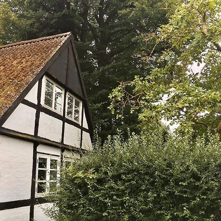Hotel Hvidegaard Mon Stege Zewnętrze zdjęcie