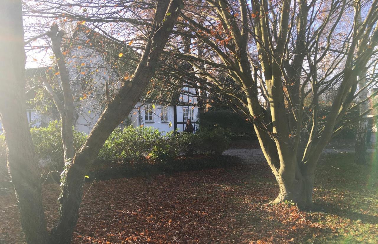 Hotel Hvidegaard Mon Stege Zewnętrze zdjęcie