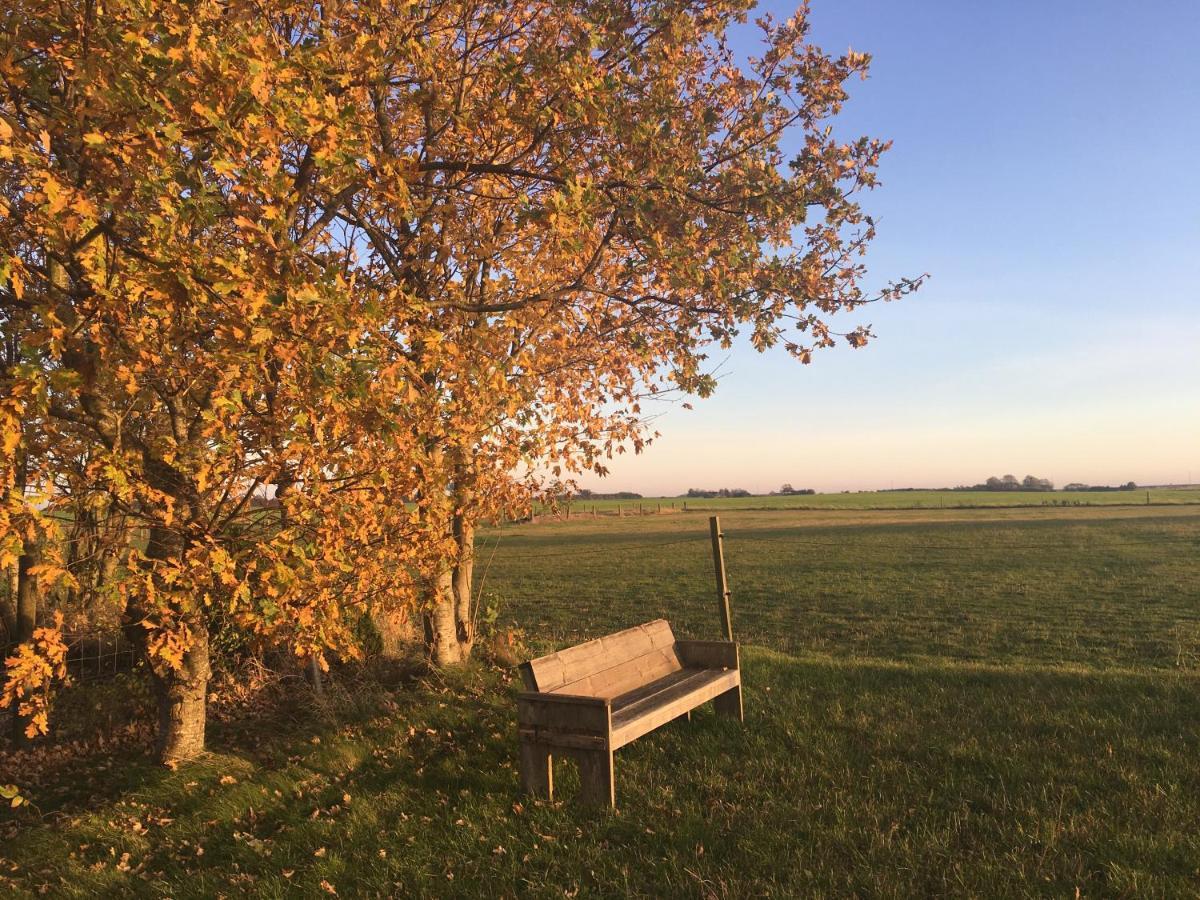 Hotel Hvidegaard Mon Stege Zewnętrze zdjęcie