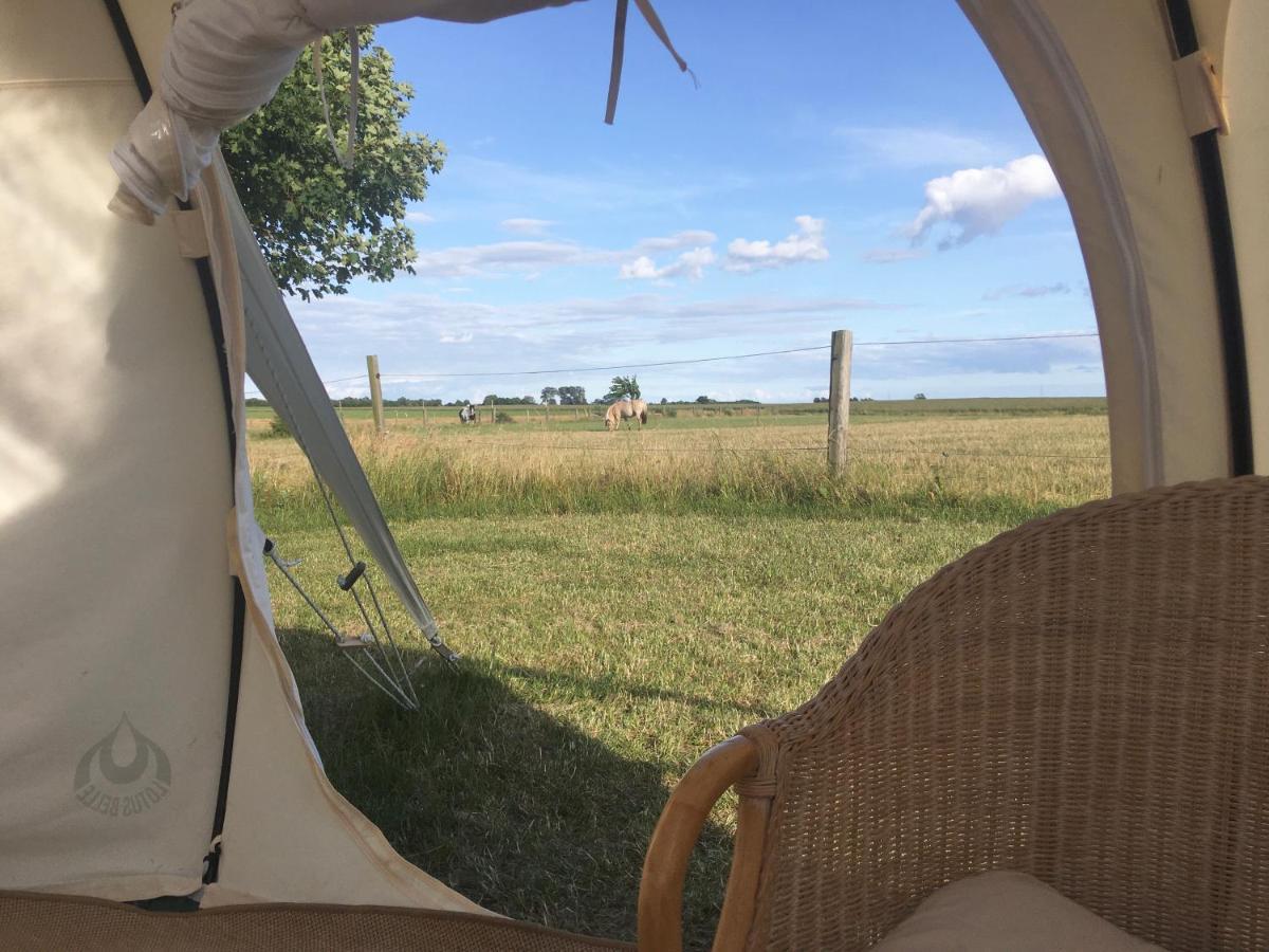 Hotel Hvidegaard Mon Stege Zewnętrze zdjęcie