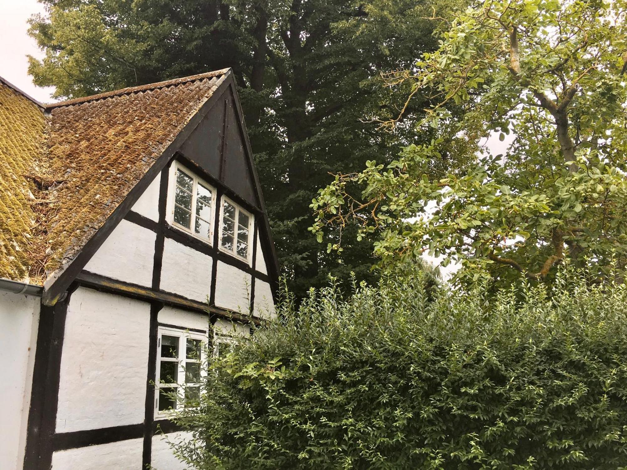 Hotel Hvidegaard Mon Stege Zewnętrze zdjęcie
