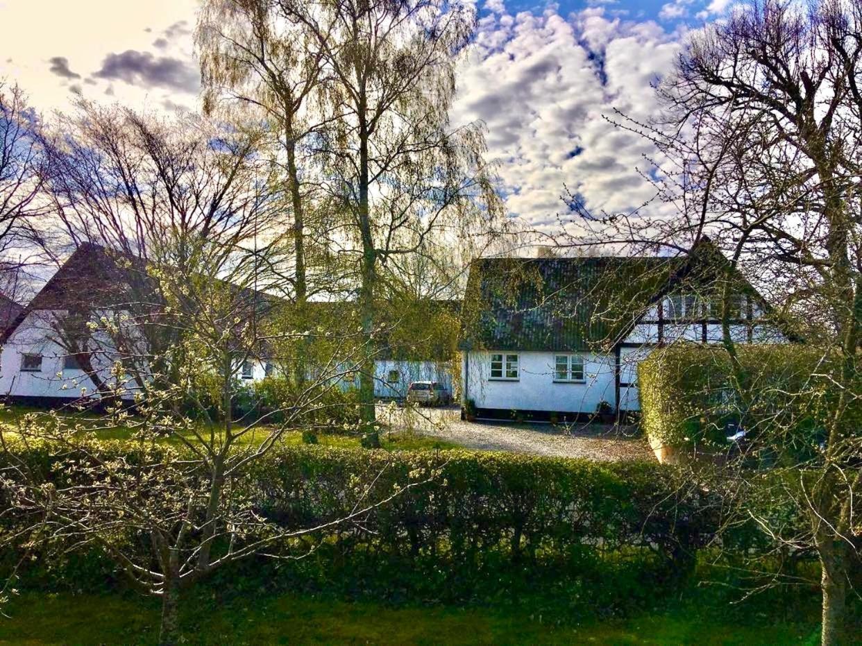 Hotel Hvidegaard Mon Stege Zewnętrze zdjęcie